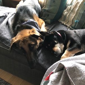 Meet your Posher, Greg